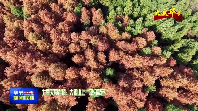 【大美毕节】七星关亮岩镇:大银山上“平分秋色”