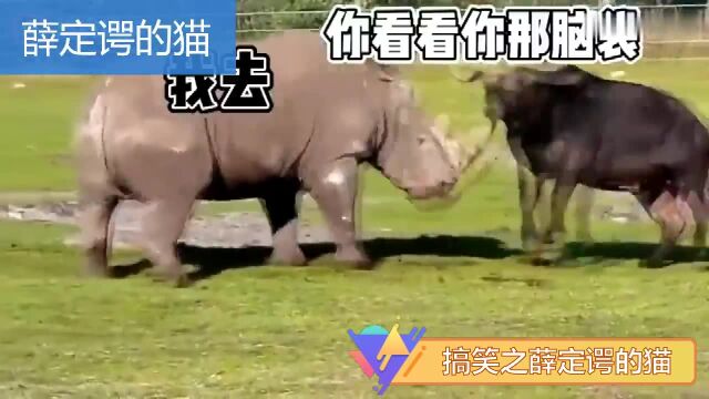 牛牛运动会搞笑顶牛牛