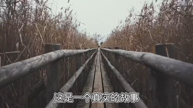 民间故事,讲故事了