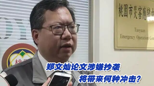 郑文灿论文涉嫌抄袭将对民进党后续政治安排产生何种冲击?