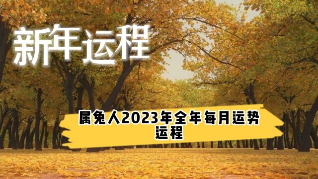 属兔人2023运程本命年运气运程