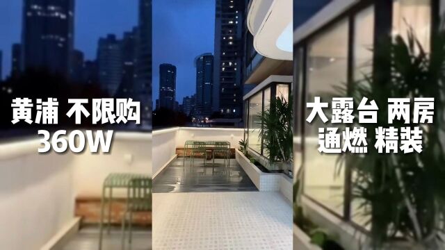 黄浦 360W 不限购 大露台 两房 通燃 精装软装全配