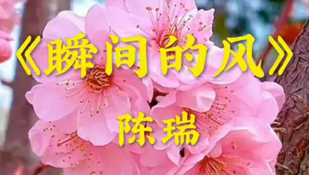 《瞬间的风》陈瑞演唱