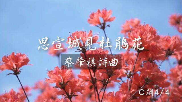 《思宣城见杜鹃花》蔡肇祺 诗曲