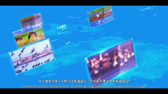 生物多样性优秀案例(12):辽宁沈阳卧龙湖湿地生物多样性保护