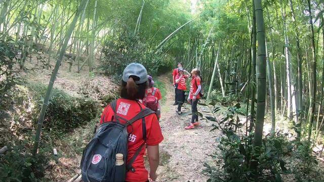 上海周边旅游健身锻炼森林古道 上海快乐徒步爬山户外大黄山3