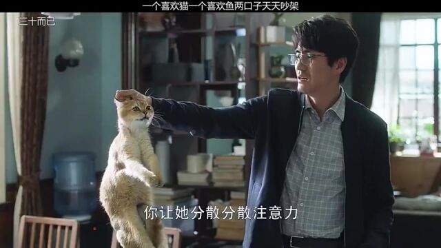 一个喜欢猫一个喜欢鱼,两口子天天吵架