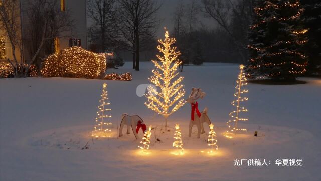 圣诞节雪夜雪地发光圣诞树视频素材