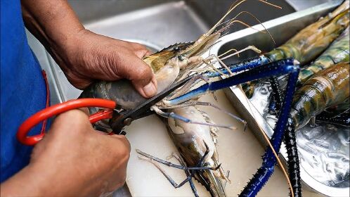 国外高手处理沼泽蓝虾,个头都是七两八两一只,看专业厨师的做法