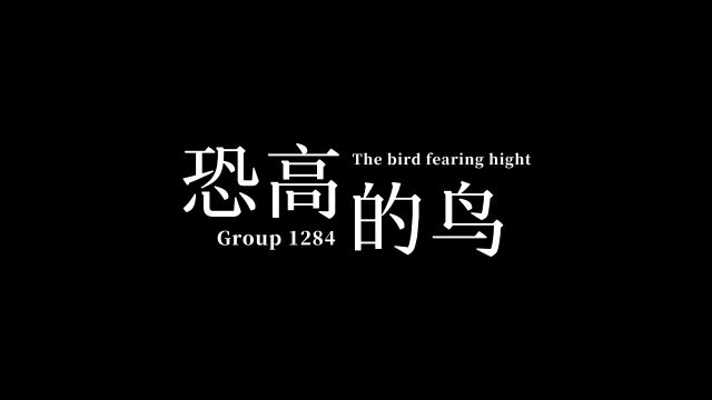 西交利物浦大学2022级CCT007微课作业展播G1284 《恐高的鸟》