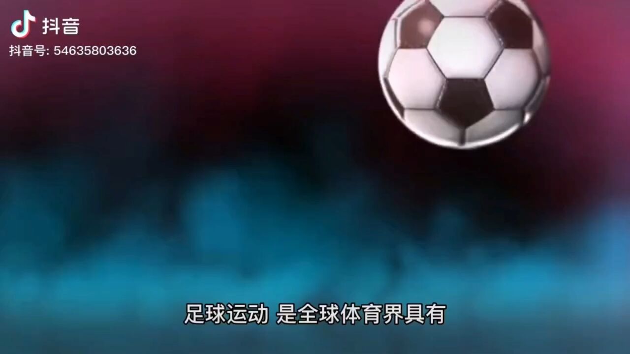 体育理论知识与视频鉴赏_腾讯视频