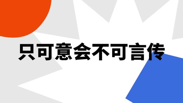 “只可意会不可言传”是什么意思?