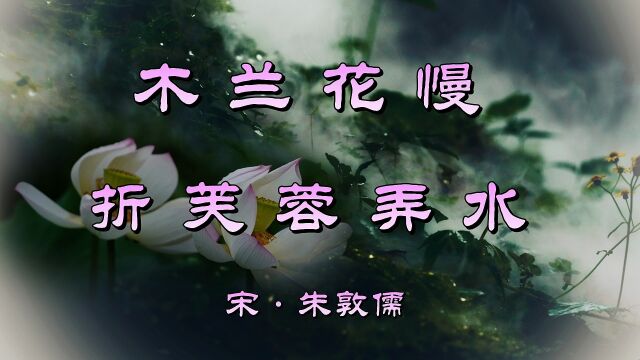 诗词欣赏:朱敦儒《木兰花慢》—人间厌谪堕久,恨霓旌未返碧楼空