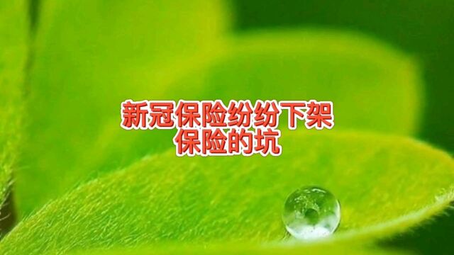 新冠病毒的保险纷纷下架,低理赔高投诉,说说保险的坑你经历过吗