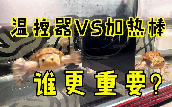 【Ygh】玻璃缸开口大,冬季加温水分蒸发快,窄桥龟背易受凉