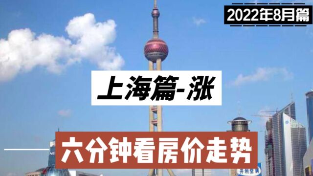 上海篇涨,六分钟看房价走势(2022年8月篇)