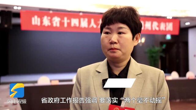 2023山东两会|省人大代表王丽慧:开展质量提升专项行动 推动暖通空调产业提质培优