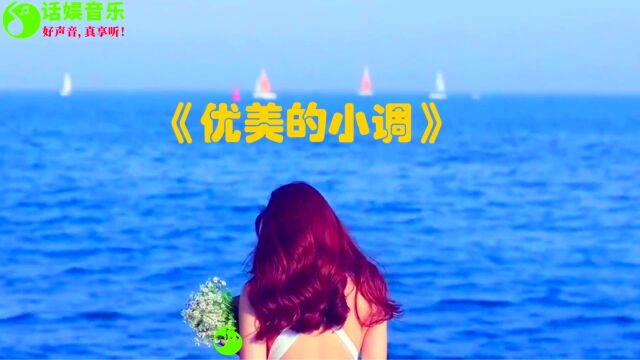 《优美的小调》是由张宇桦作曲的一首轻音乐,清澈的旋律如水般流淌