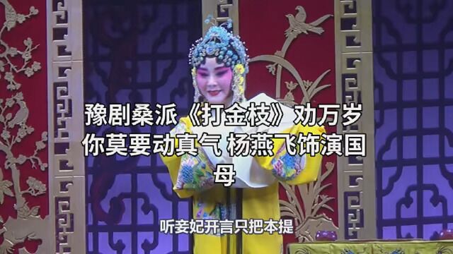 豫剧桑派《打金枝》劝万岁你莫要动真气 杨燕飞演唱