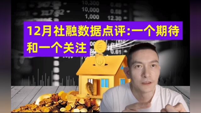 12月社融数据点评:一个期待和一个关注