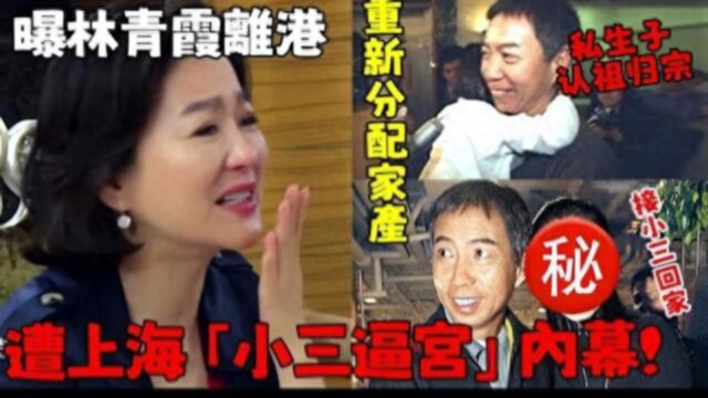 刑李源小三正脸首曝光,带13岁私生儿子认祖归宗,林清霞伤心离港!