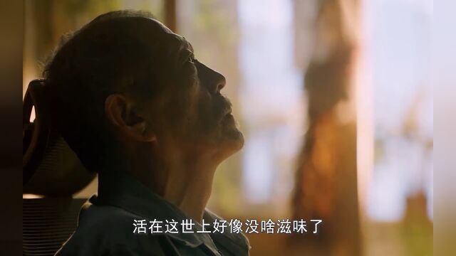 “爱意随风起 风止意难平”#电影抬头见喜 #电影抬头见喜好笑又治愈