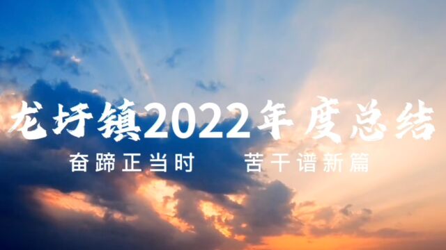 龙圩镇2022年度工作成效展示