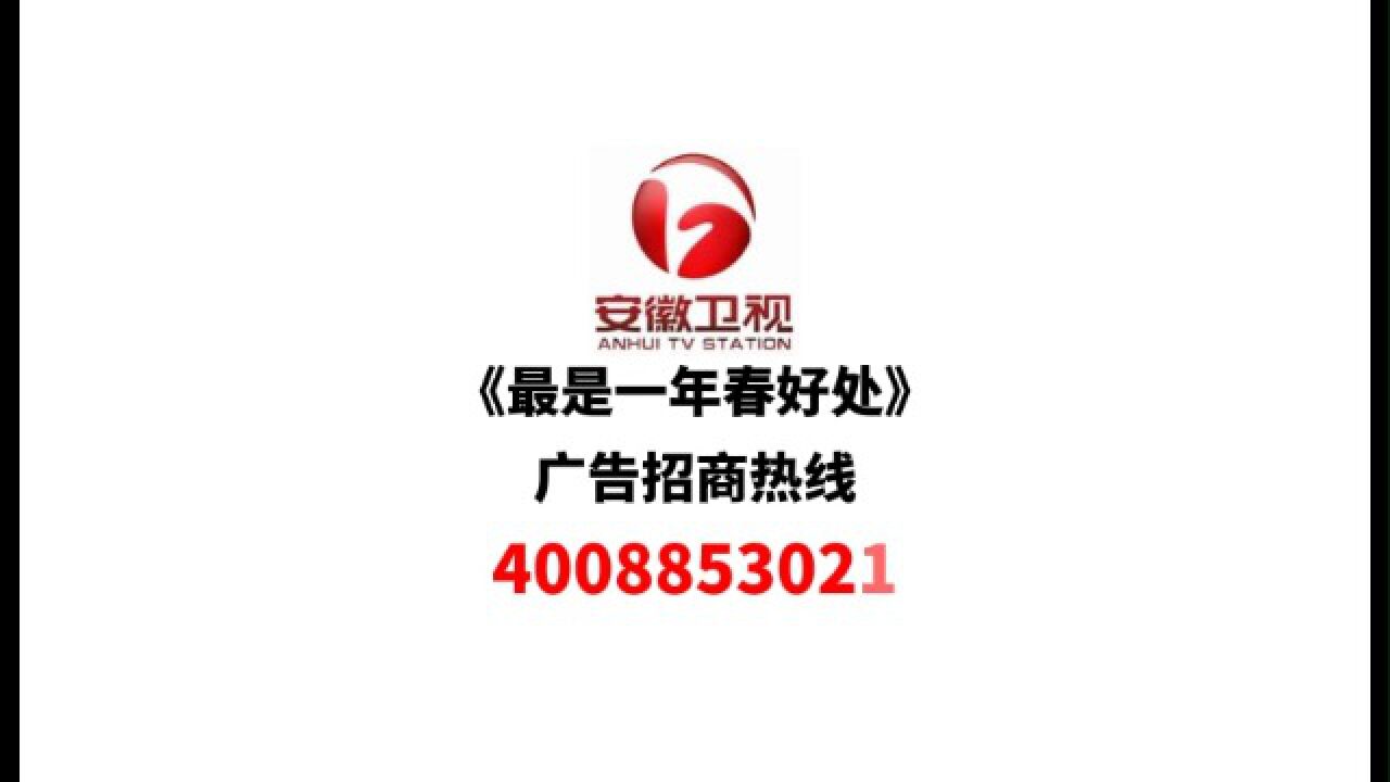 安徽卫视《最是一年春好处》节目广告招商