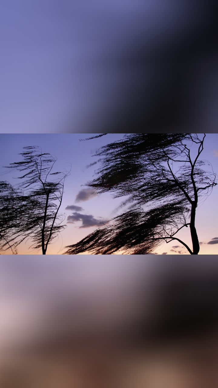 北京大风蓝色预警中!今有七级风,外出注意防寒