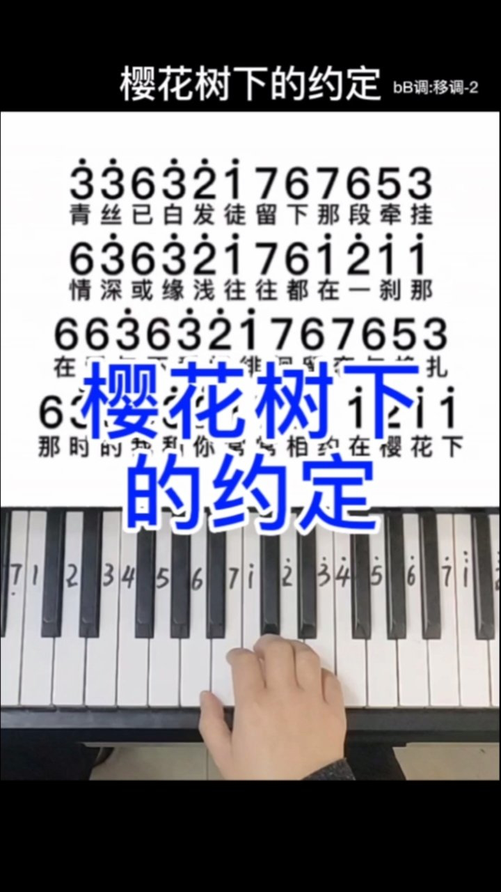 《樱花树下的约定》钢琴简谱,零基础学钢琴,成人学钢琴,钢琴教学.