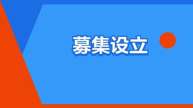 “募集设立”是什么意思?