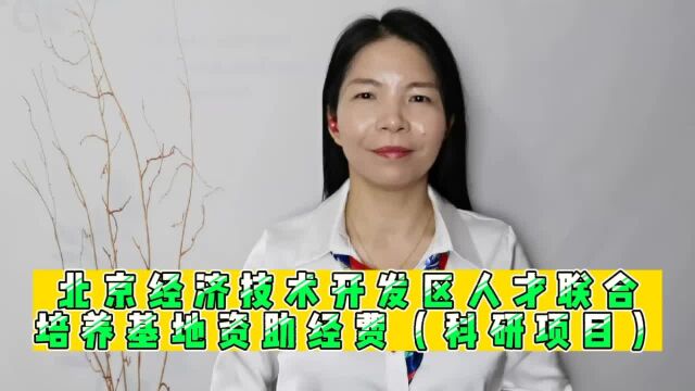 北京经济技术开发区人才联合培养基地资助经费(科研项目)