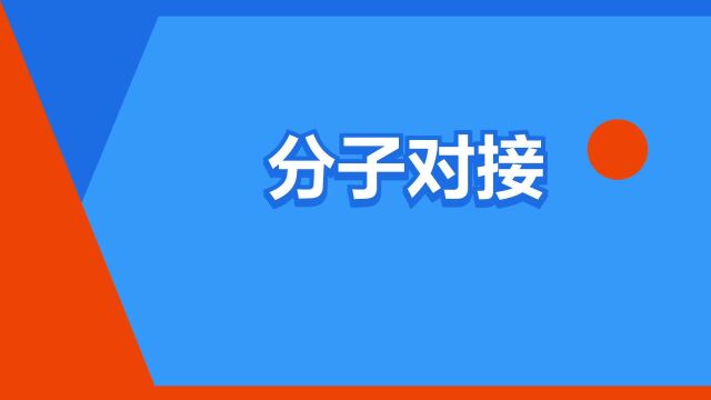 “分子对接”是什么意思?