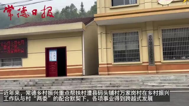 【新春走基层】常德澧县万家岗村产业发展助振兴 乡亲日子更红火