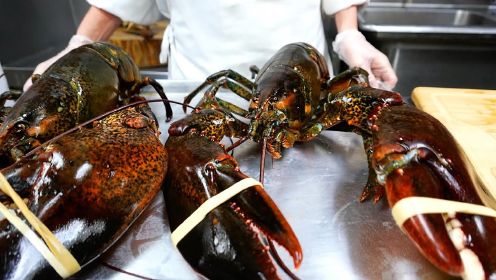 国外大厨宰杀龙虾，专业手法处理波士顿龙虾，让大家见识一下