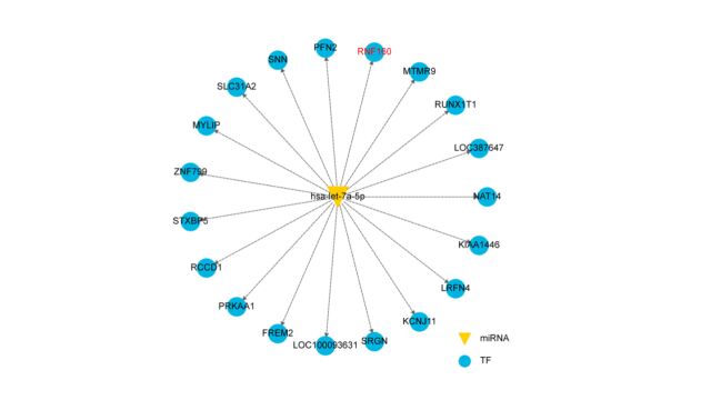 197 miRNA靶基因网络图绘制视频教程