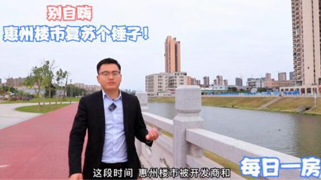 每日一房:利率下降,人气回暖?惠州楼市全面复苏的谎言在欺骗谁