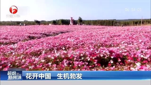 花开中国!镜头带你感受春天的生机勃发