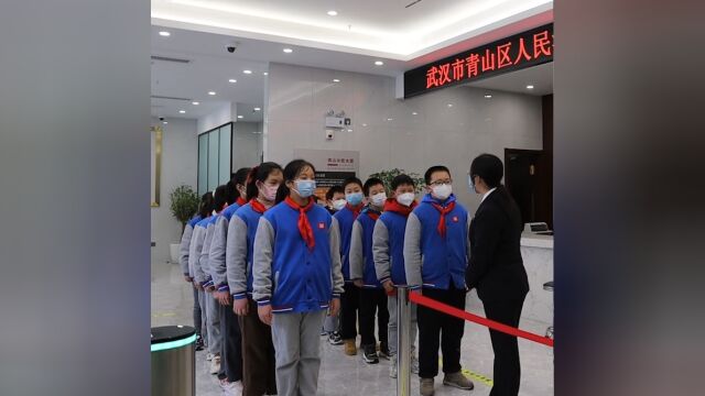 红钢城法庭里的“特殊班会”,青山小学生和法官面对面