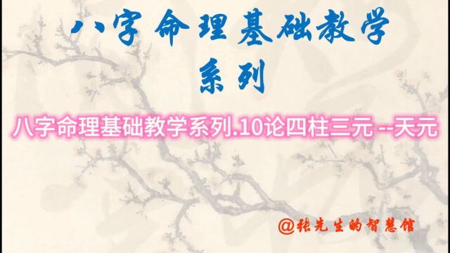 八字命理基础教学系列.10论四柱三元 天元