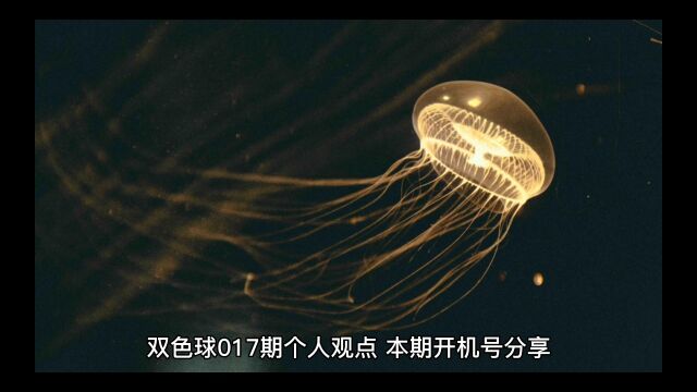 双色球017期个人观点