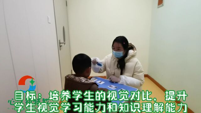 孤独症智力发育迟缓家庭训练小课题:作用配对目标:培养孩子的视觉对比,提升学生视觉学习能力和知识理解能力视频来源:新洲区心之初特殊儿童康复...