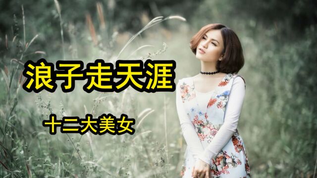 十二大美女《浪子走天涯》卡拉ok歌词