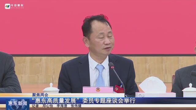 “惠东高质量发展”委员专题座谈会召开