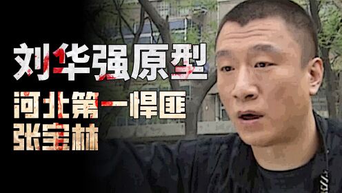 第02集河北第一悍匪张宝林多狠?带5个小弟,镇住30人!_高清1080P在线观看平台_腾讯视频