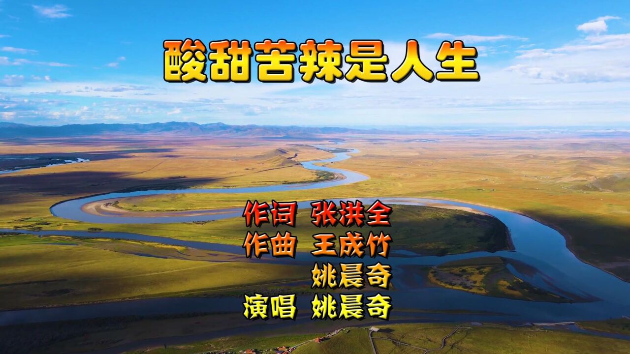 酸甜苦辣是人生-作词:张洪全 作曲:王成竹&姚晨奇 演唱:姚晨奇-大山