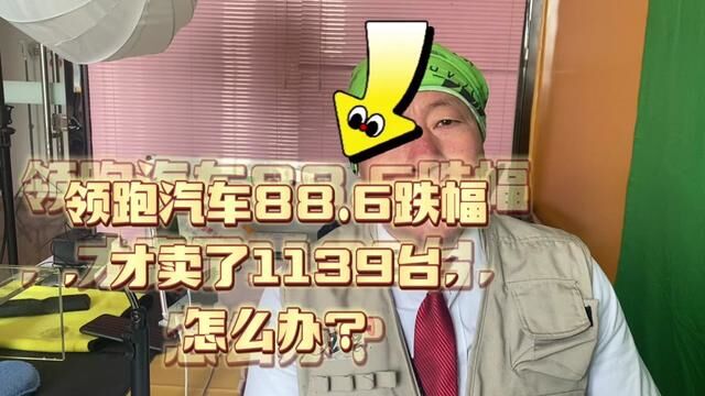 金华领跑新能源汽车1月销量才1139台,跌幅86.8,这个月怎么办?