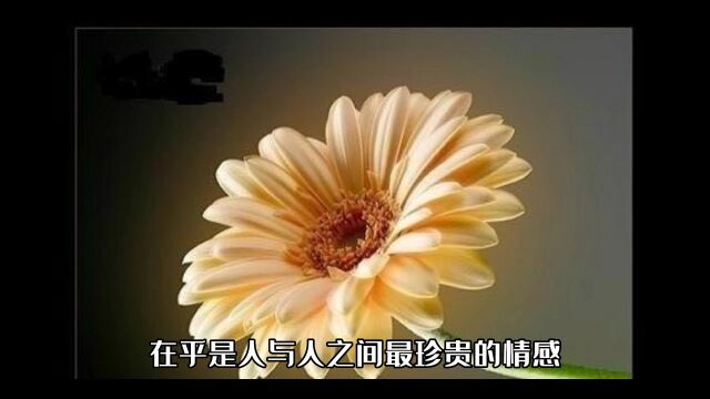 在乎是人与人之间最珍贵的情感