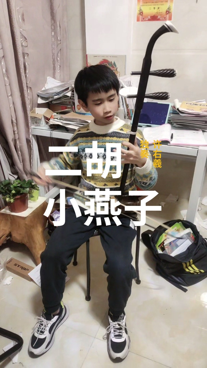 许右羲二胡独奏《小燕子》