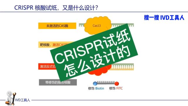 分子试纸: 单指标,双指标,CRISRP